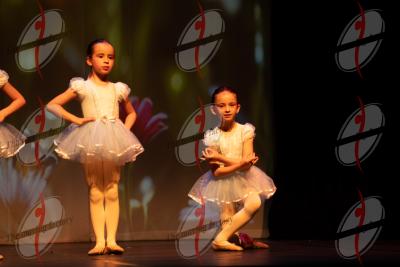 SHOW_01997.jpg